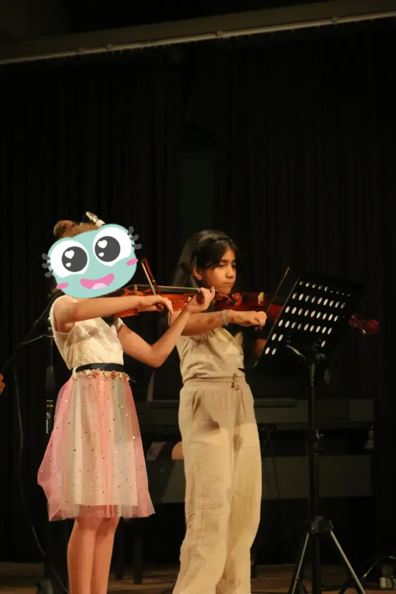 Imatge del concert