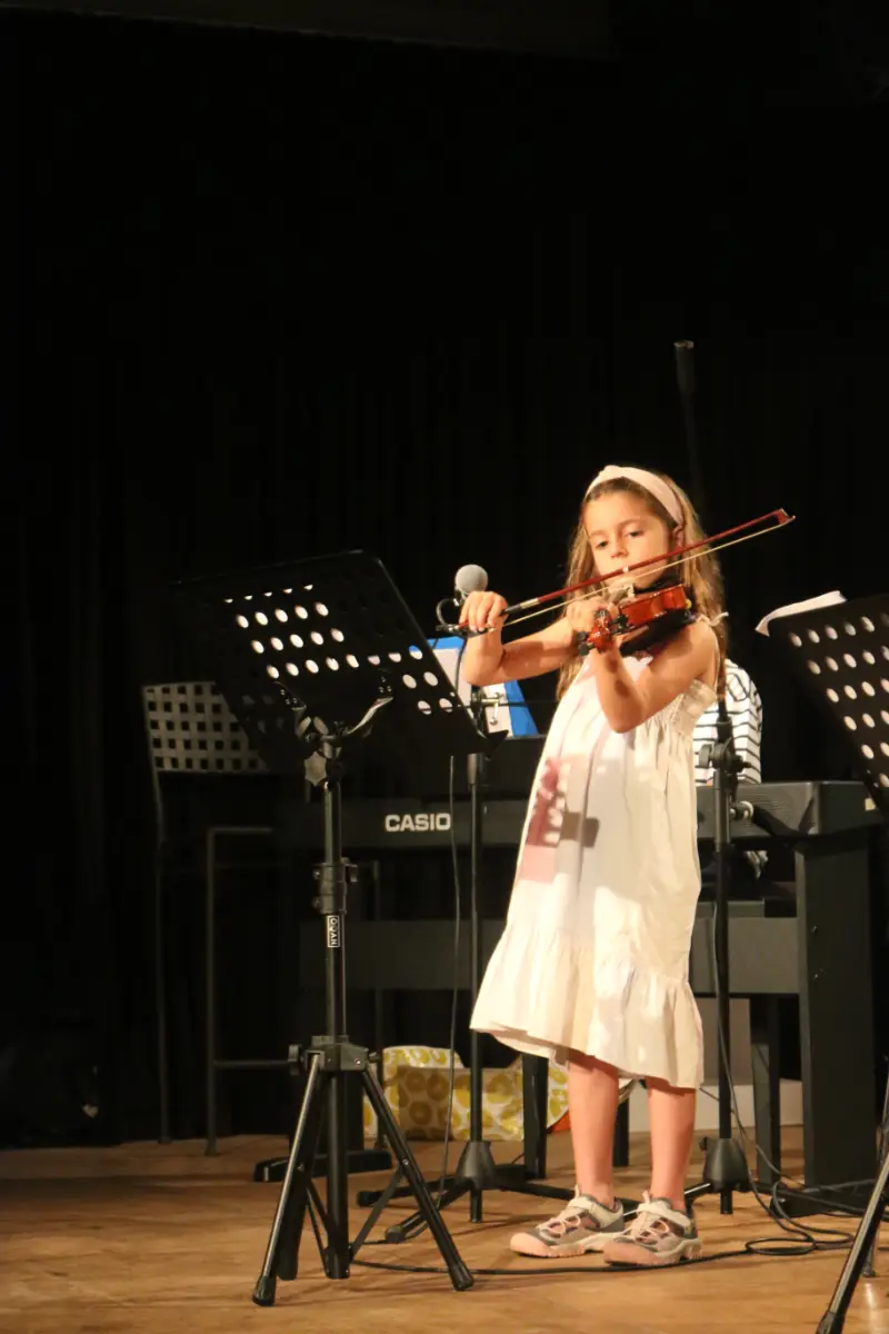 Imatge del concert