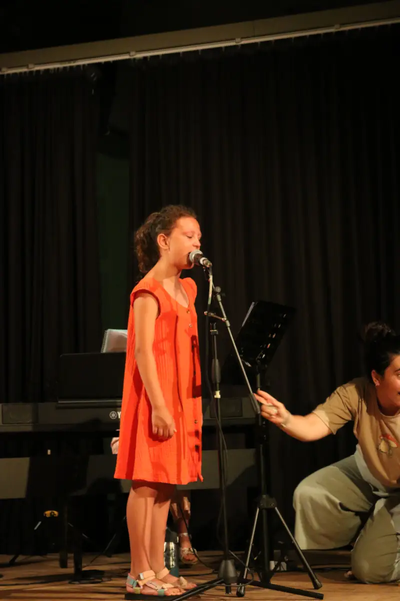 Imatge del concert