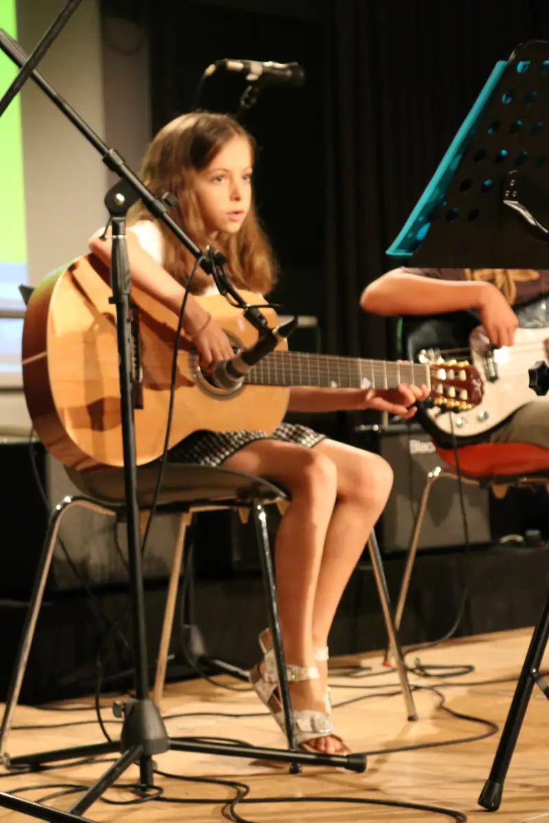 Imatge del concert