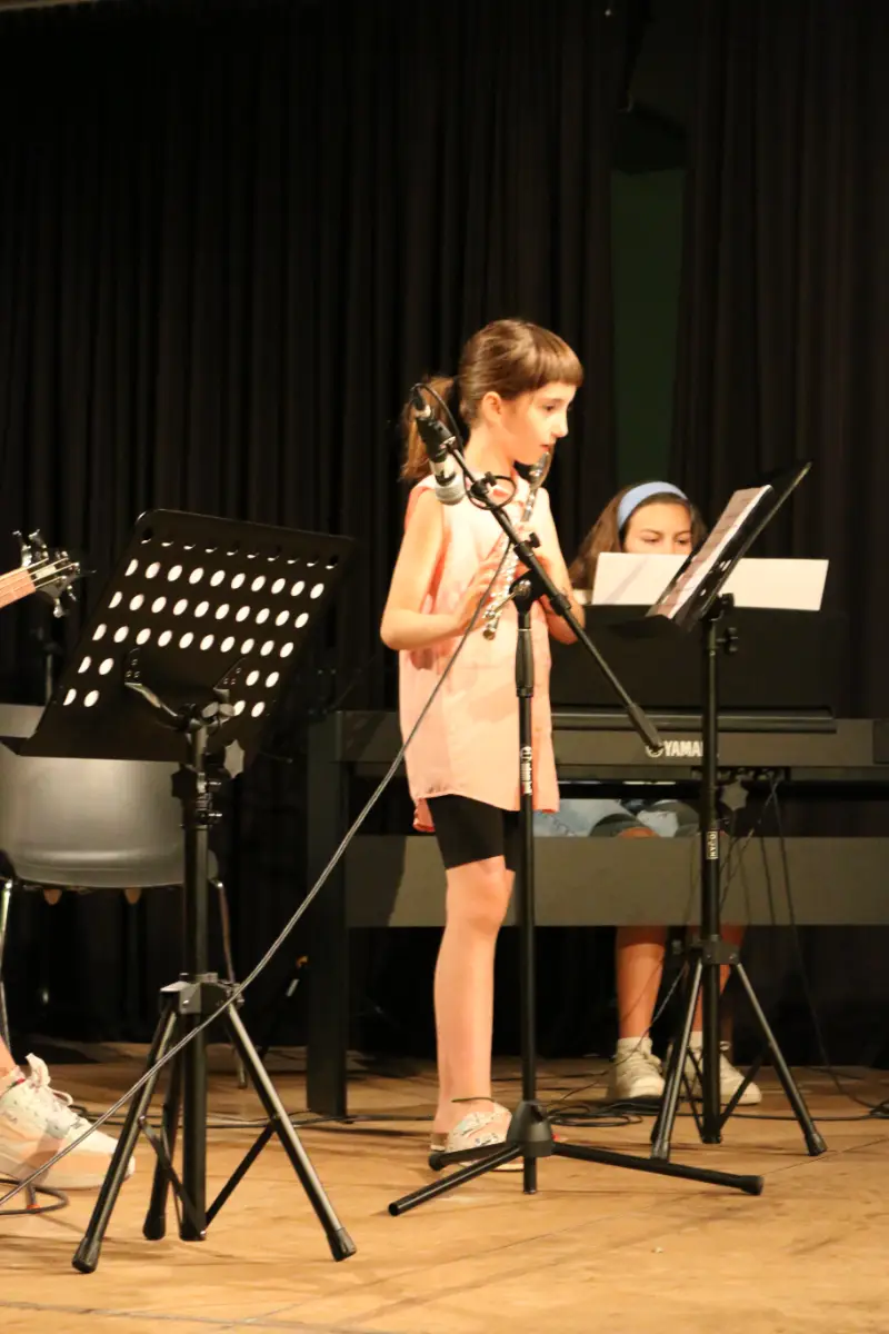Imatge del concert