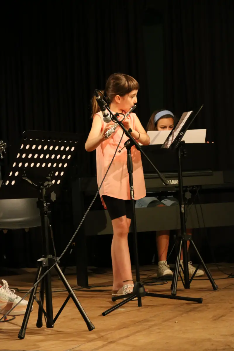 Imatge del concert