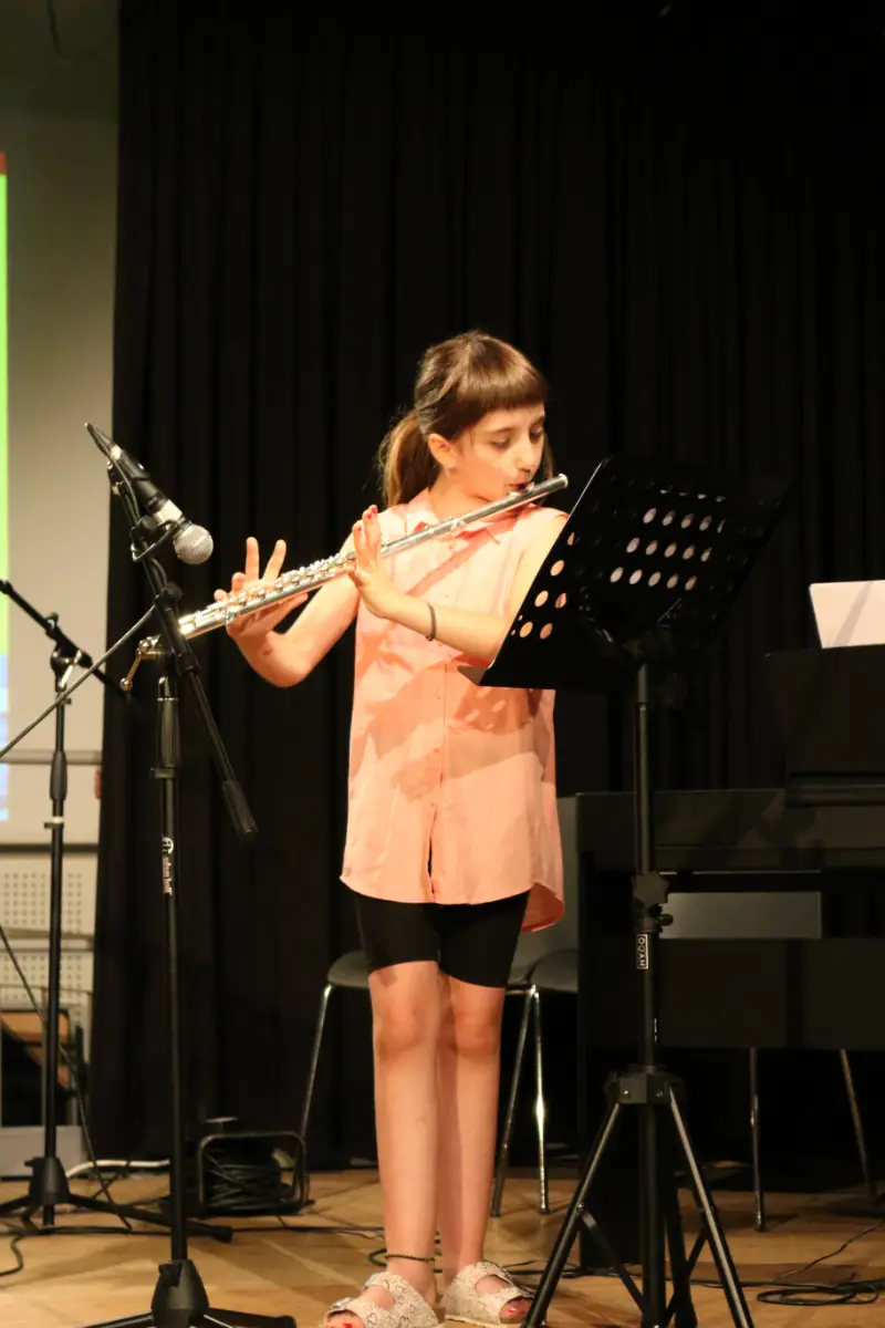 Imatge del concert