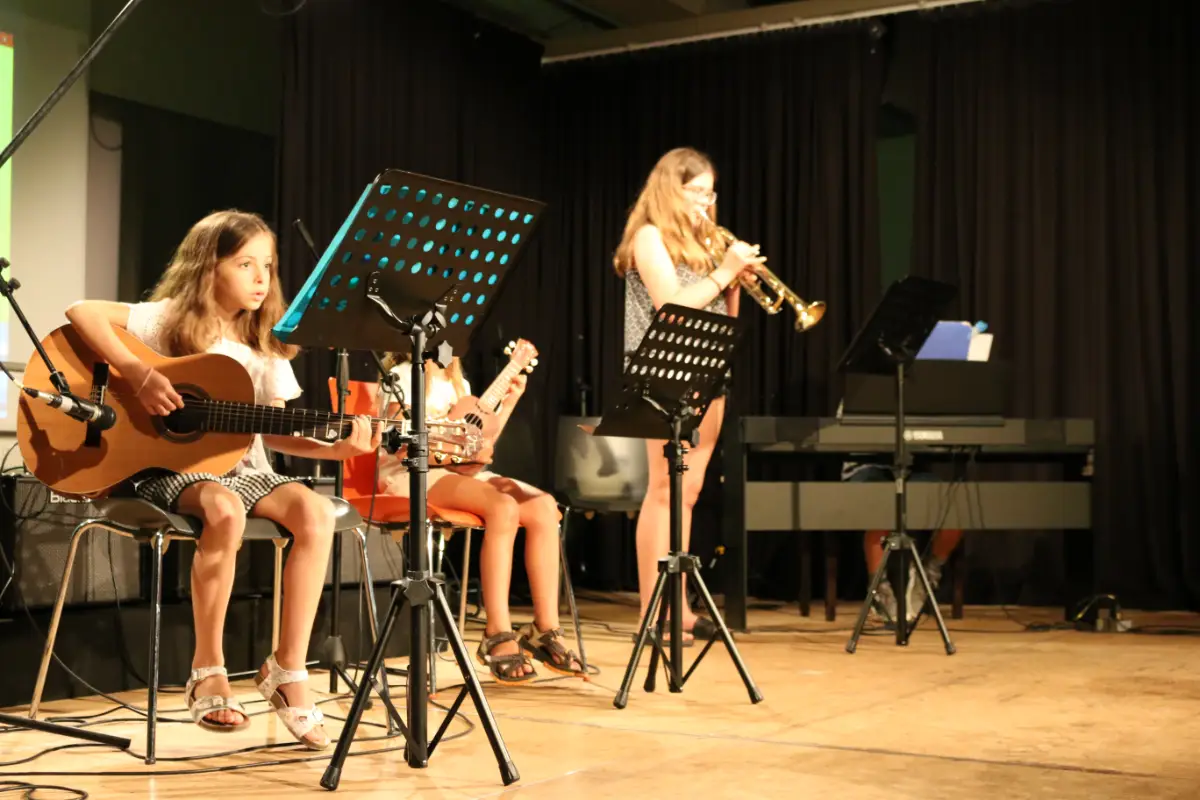 Imatge del concert