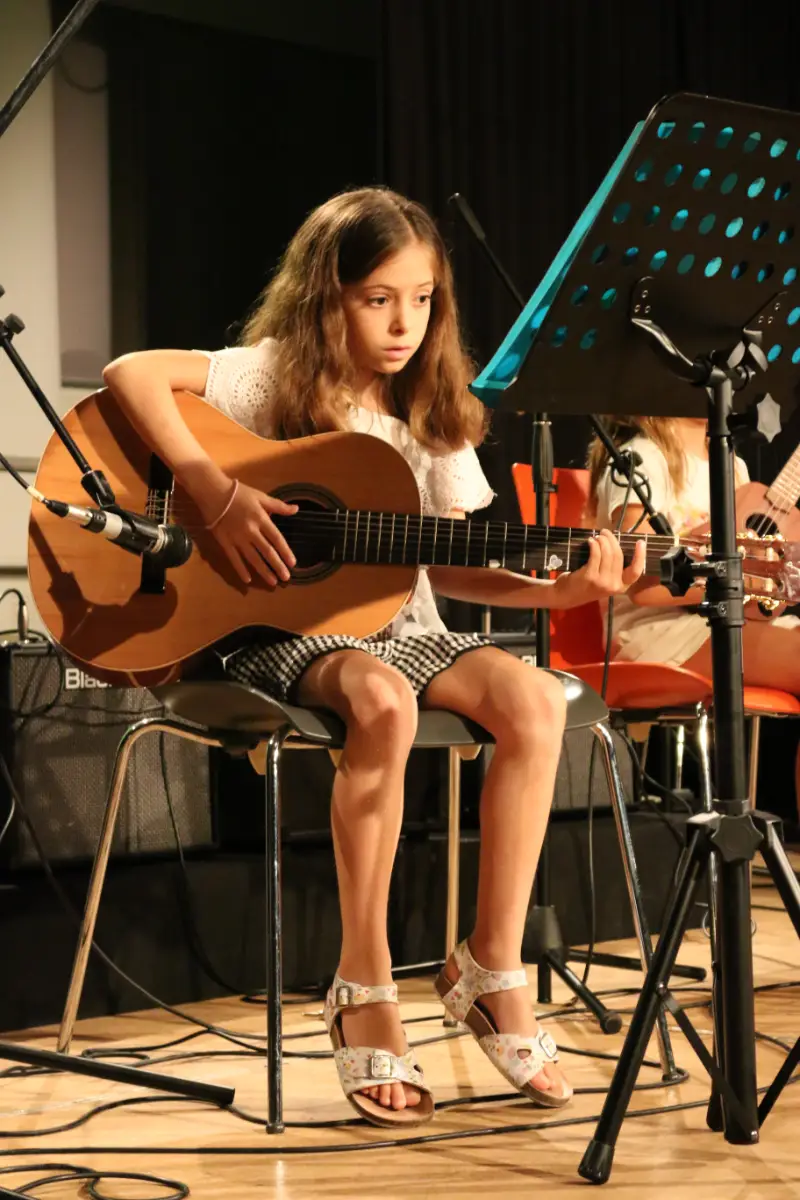 Imatge del concert