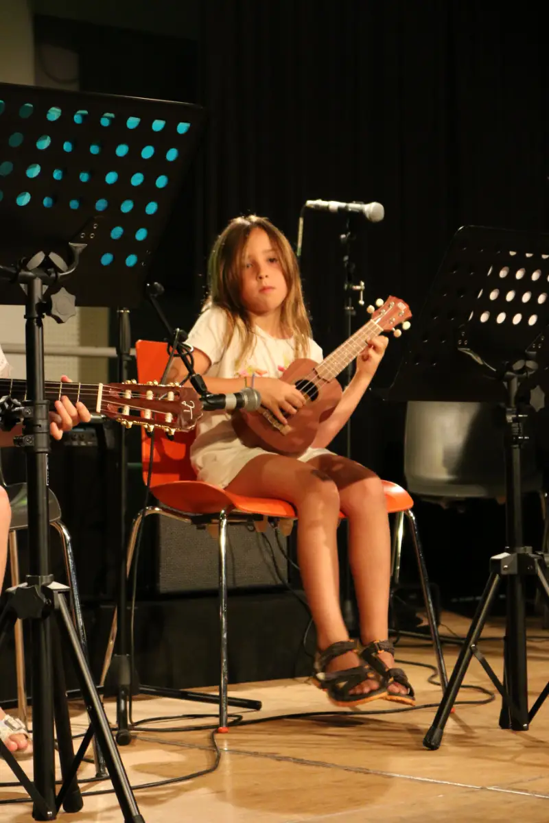 Imatge del concert