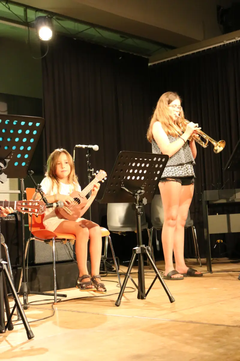 Imatge del concert