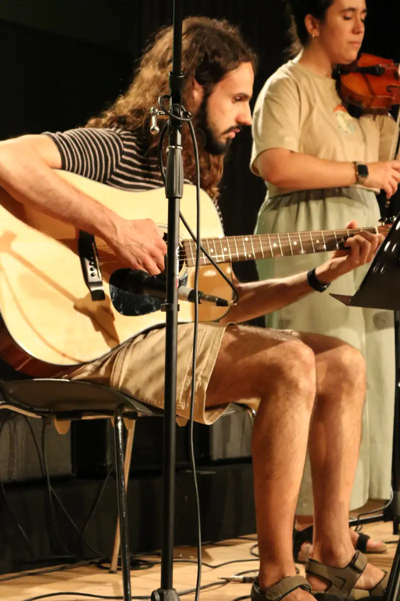 Imatge del concert