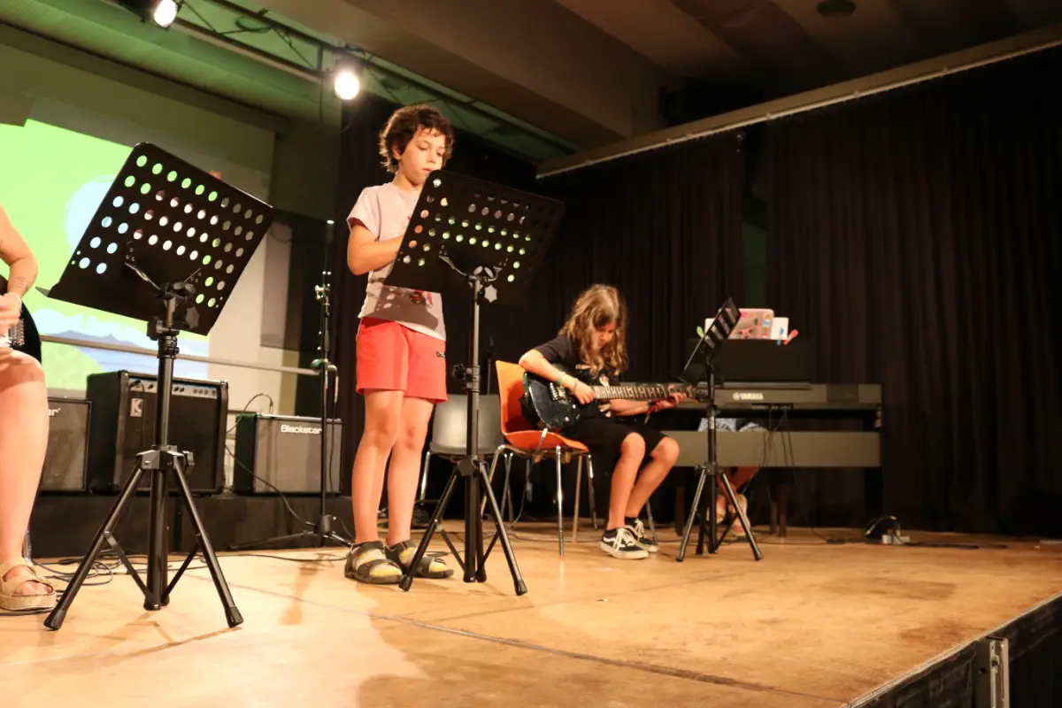 Imatge del concert