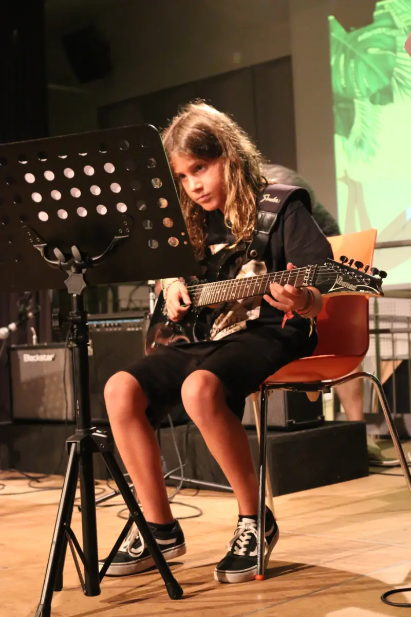 Imatge del concert