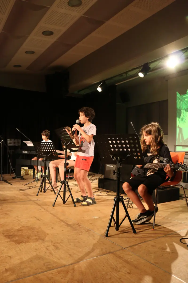 Imatge del concert