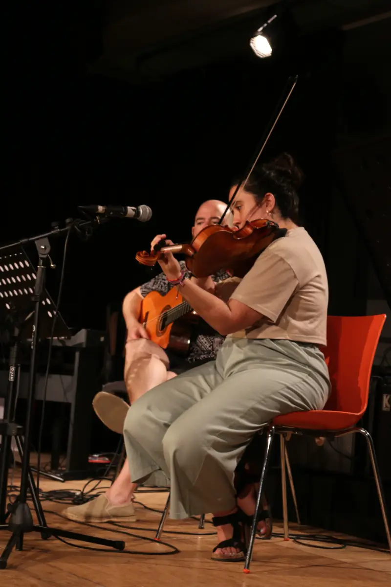 Imatge del concert